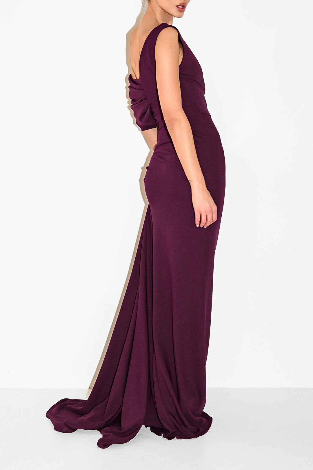 Hayfa Long Dress In Plum